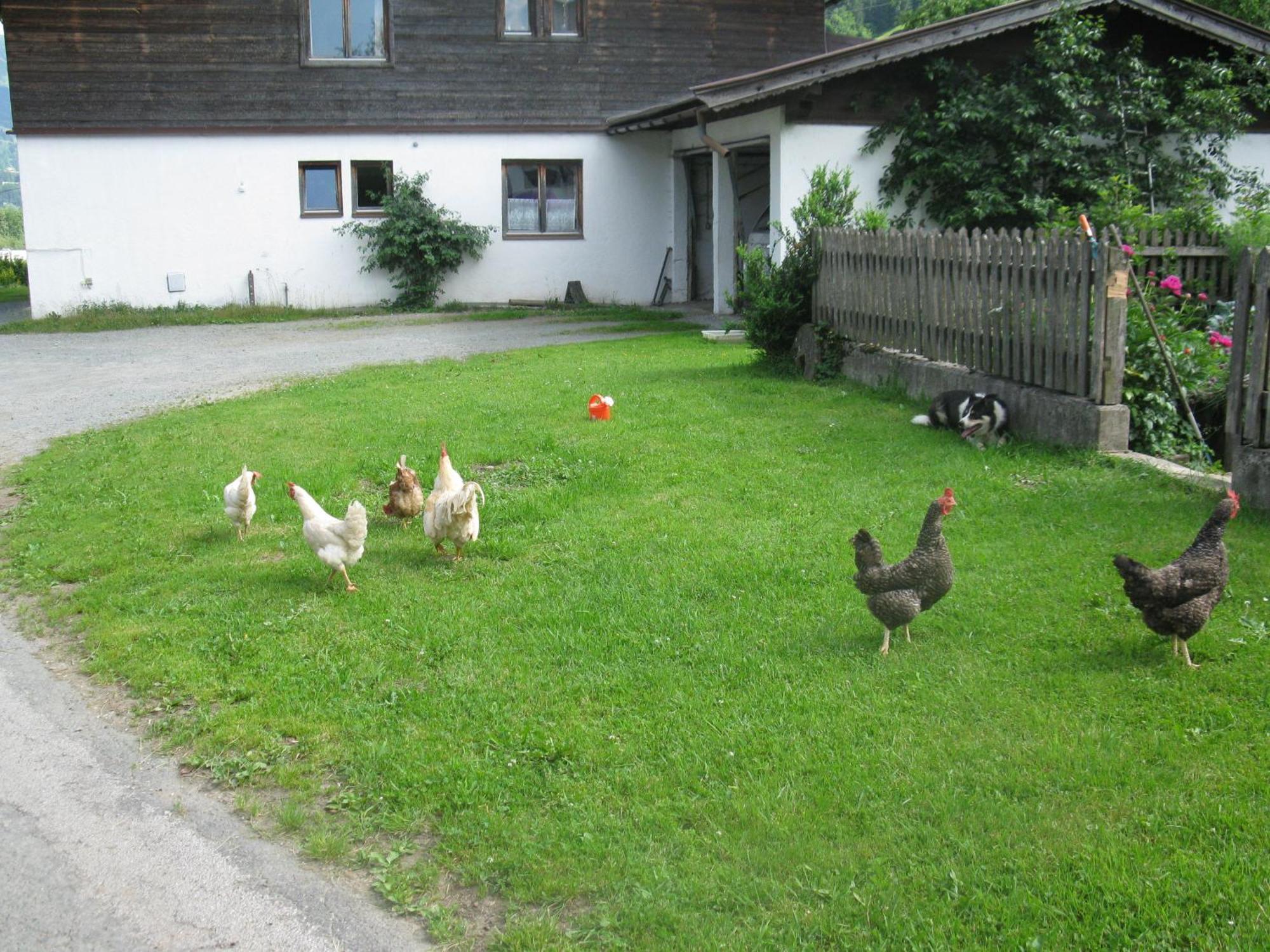 Malernhof Bed & Breakfast Kitzbuhel Exterior photo